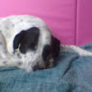 Meet your Posher, Keira